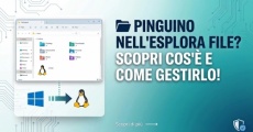 Hai notato un’icona a forma di Pinguino con scritto "Linux" nel tuo Esplora File?